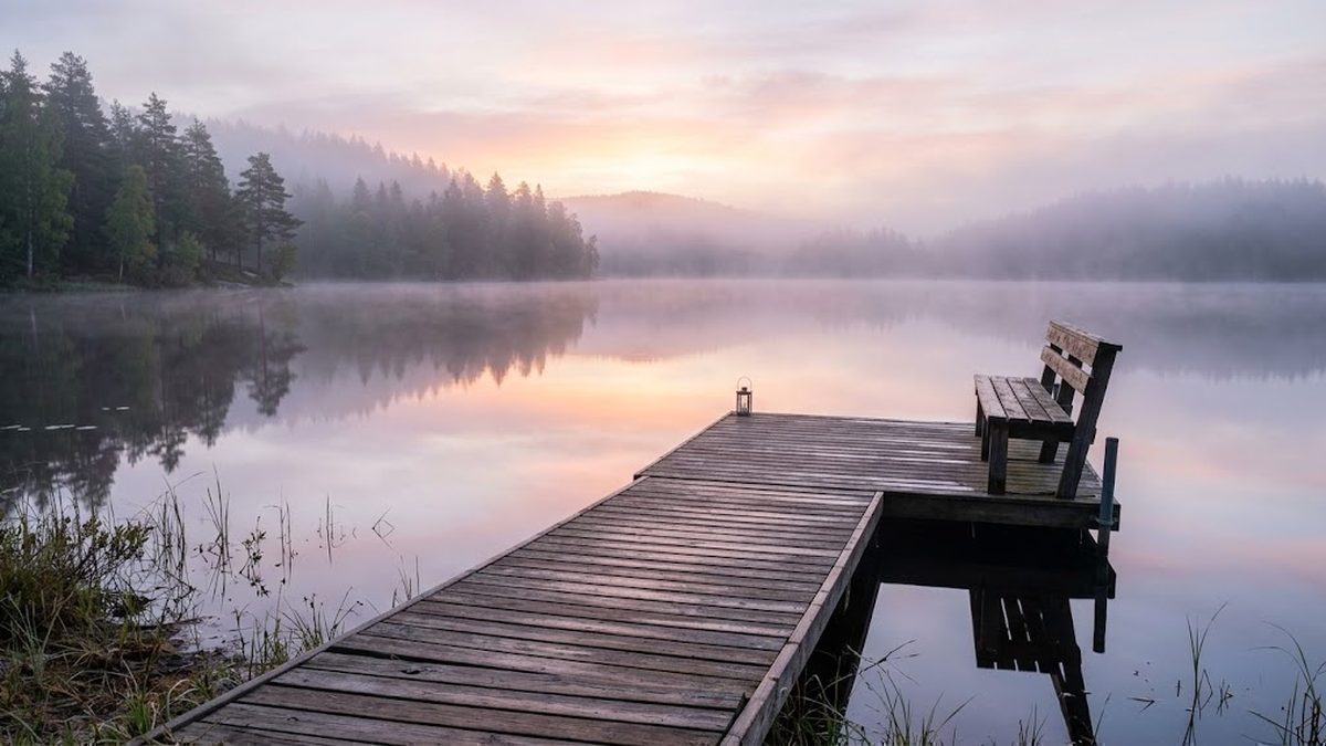 Grief Quiz: Questions, Answers & Practice Quiz