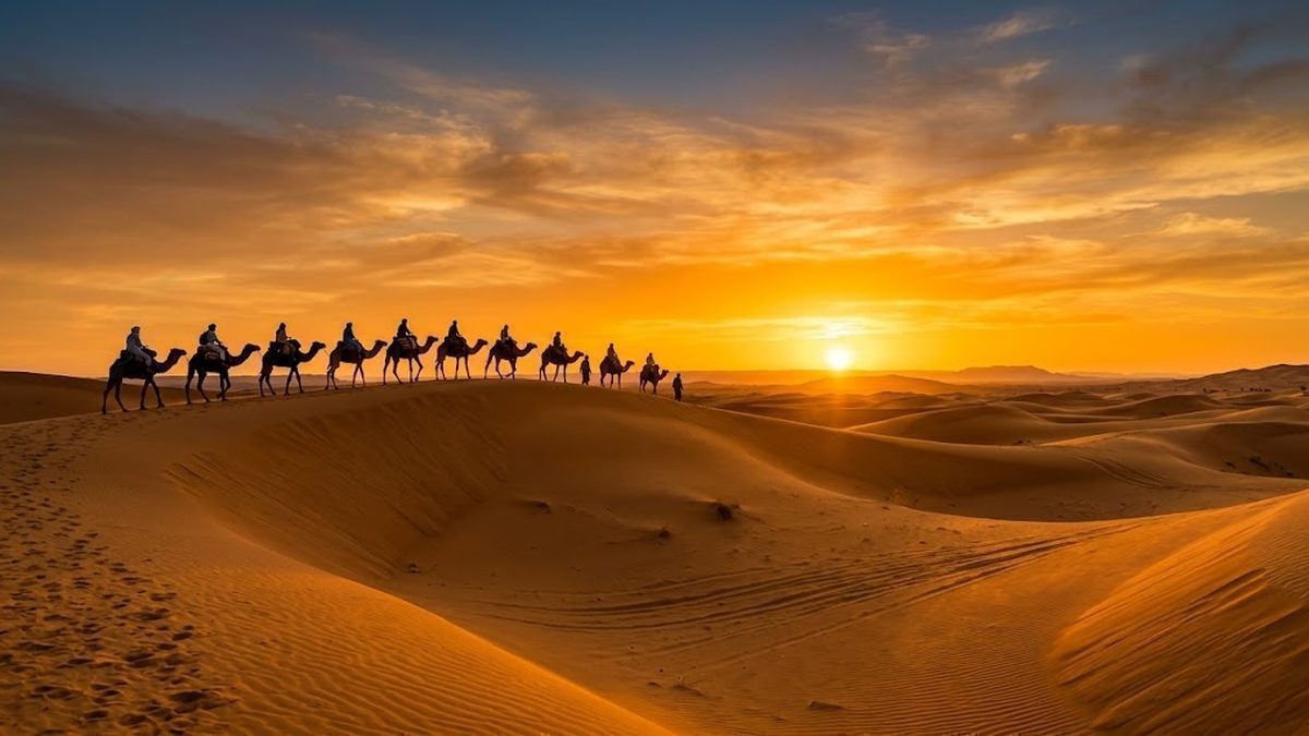 How Many Camels Are You Worth Quiz: Questions, Answers & Practice Quiz
