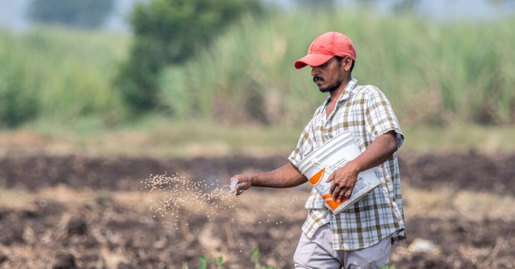Field Officer Adobe Pune