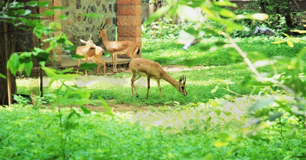 Livestock Specialist Reserve New Delhi